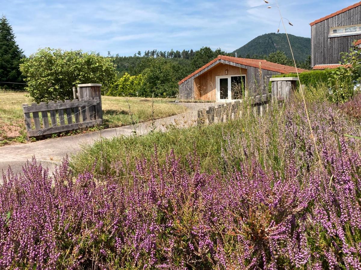 Le Chalet Dans La Nature Saulcy-sur-Meurthe Eksteriør bilde